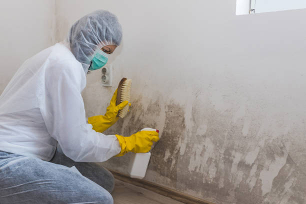 Best Certified Mold Removal  in Asheboro, NC
