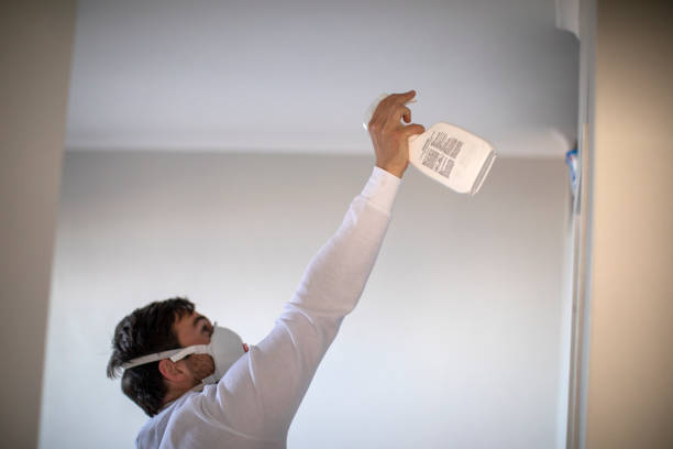 Attic Mold Removal in Asheboro, NC