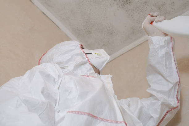 Best Affordable Mold Removal  in Asheboro, NC