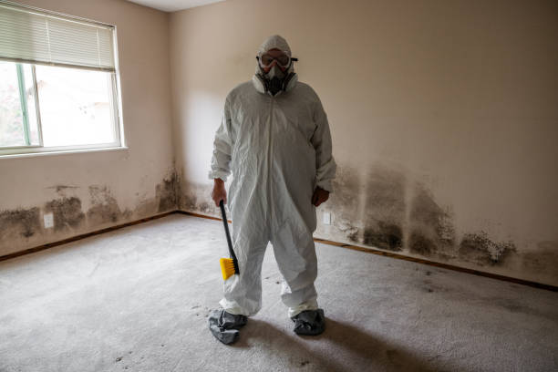 Best Professional Mold Removal  in Asheboro, NC